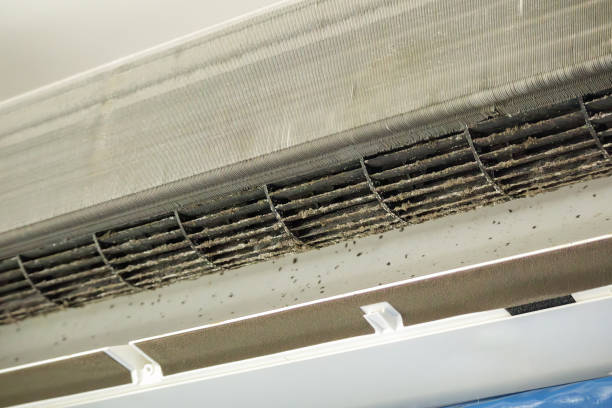Best HVAC Air Duct Cleaning  in Cloverleaf, TX