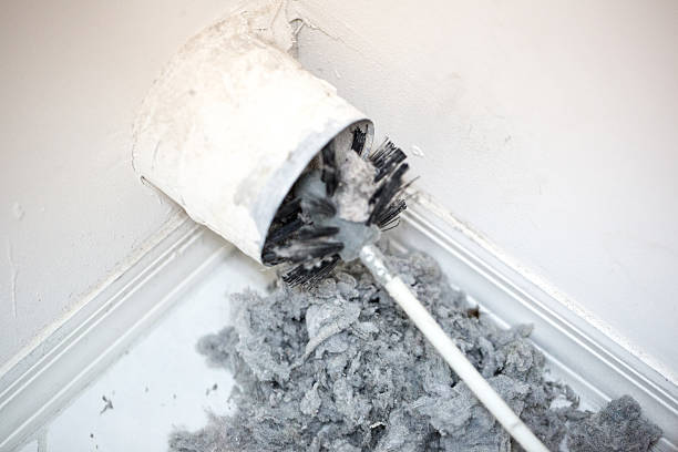 Best Best Air Duct Cleaning Company  in Cloverleaf, TX